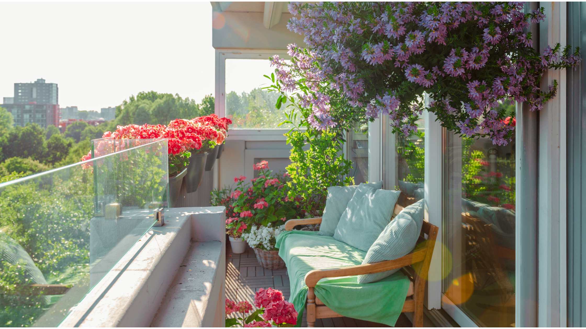 Flores para pequenos espaços: dicas para varandas e apartamentos