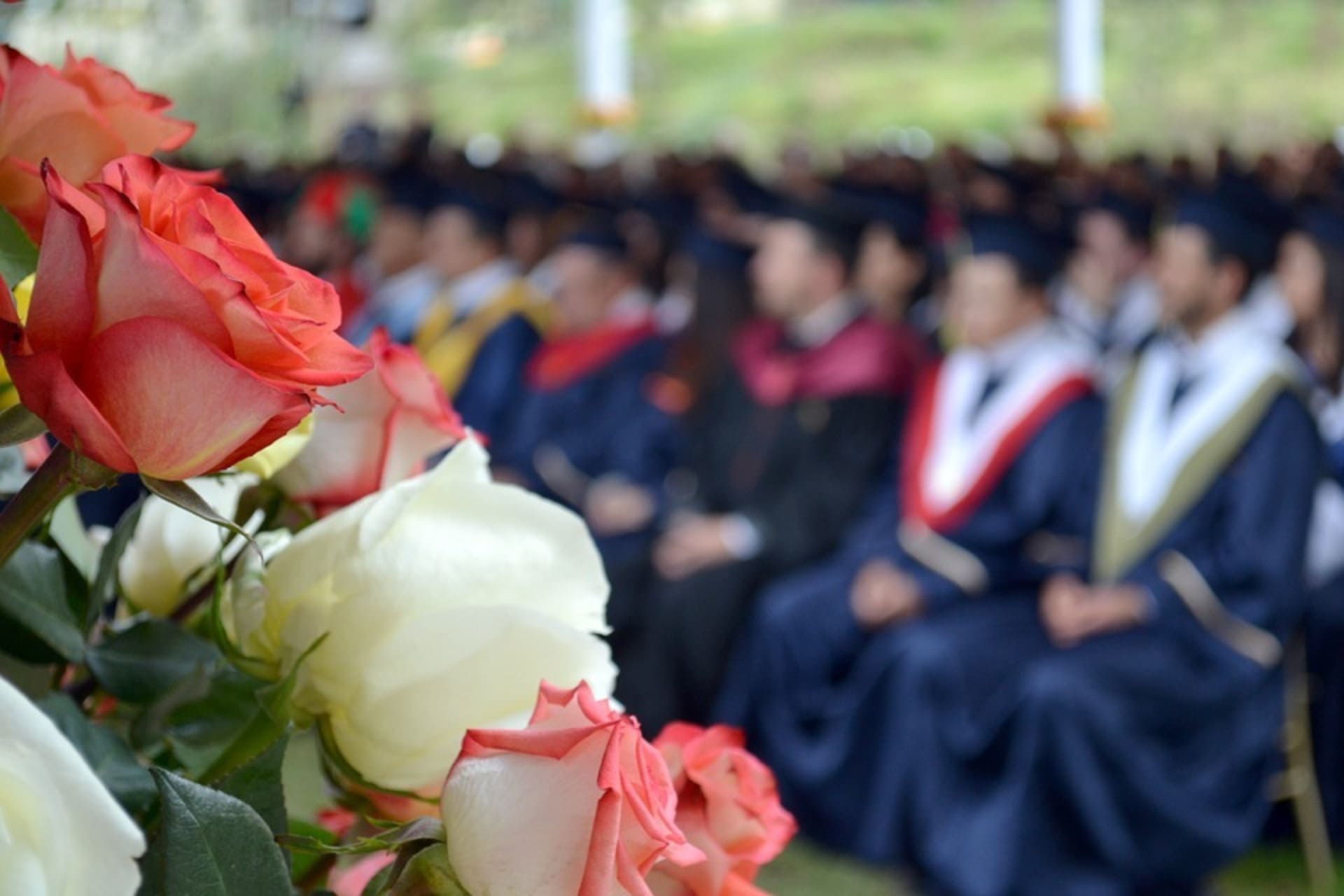 Presentes florais para conquistas acadêmicas