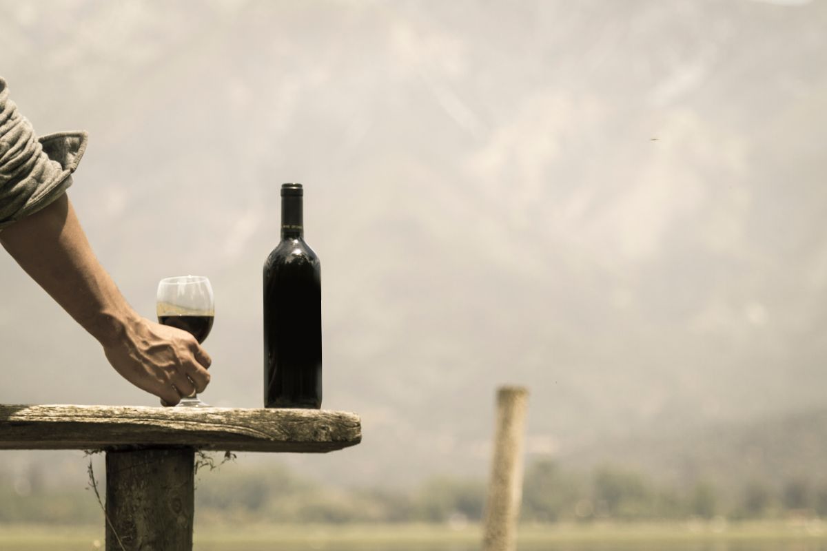 Cesta de vinho chileno: presente perfeito para surpreender com elegância