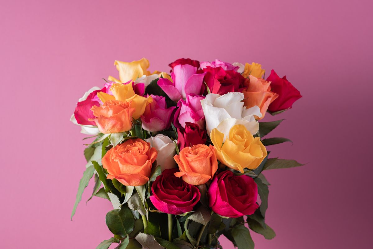 Surpreenda com rosas coloridas e encante com originalidade